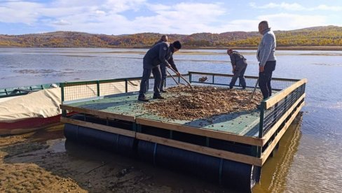 NA VLASINI POSTAVLJEN SPLAV ZA GNEŽĐENJE ČIGRI: Projekat Turističke organizacije Surdulica i Društva za zaštitu i proučavanje ptica