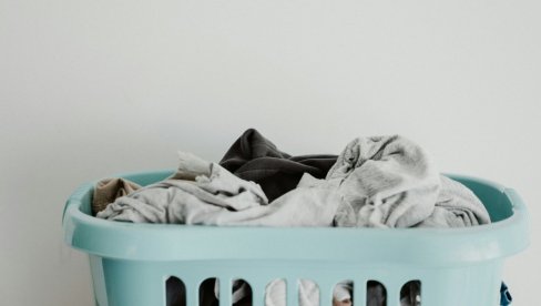 STANOVNICI DOŽIVELI IZNENAĐENJE KOJE NEĆE ZABORAVITI: U korpi za veš pronašli najotrovniju životinju na svetu (FOTO)