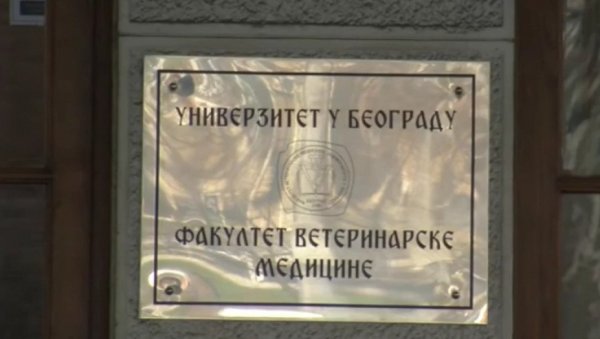 ШАЧИЦА БЛОКИРАЛА ВЕТЕРИНАРСКИ ФАКУЛТЕТ: А шта је са већином која жели да ствара и да живи, која жели сигурну будућност?