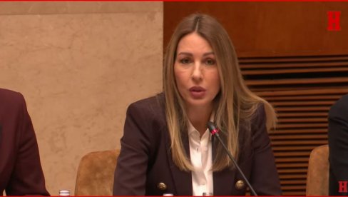 БЕЗ РАФИНЕРИЈЕ НЕМА ЖИВОТА! Почела седница Владе поводом ситуације у НИС-у: Министарка Ђедовић понудила оставку