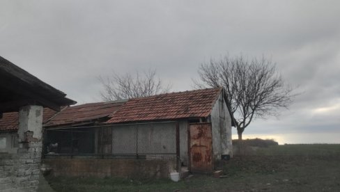 UDARAO DEDU DRVENOM DRŠKOM, PA GA ZADAVIO: Tužilaštvo iz Zrenjanina saopštilo detalje ubistva na salašu kod Kikinde