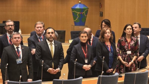 ОГЛАСИЛА СЕ АНА БРНАБИЋ ИЗ ШВЕДСКЕ: Учествује на самиту Међународне кримске платформе