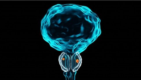 Može li muškarac da se sačuva od problema sa prostatom?