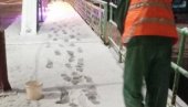ЗИМСКЕ СЛУЖБЕ НА ТЕРЕНУ ЧИСТИ СЕ СНЕГ