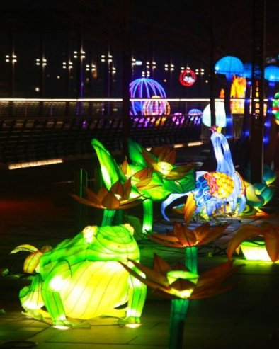 ФЕСТИВАЛ СВЕТЛА И СЕНКИ КАО БРЕНД БЕОГРАДА: Трансформација урбаног простора кроз уметничке инсталације