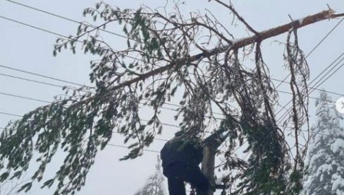 OGLASILA SE ELEKTRODISTRIBUCIJA SRBIJE: Ekipe ulažu nadljudske napore da lociraju i saniraju kvarove na distributivnoj mreži