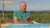 POKVARENO! Kokanović napadao državu sto se grade trafostanice, a sad diže pobunu