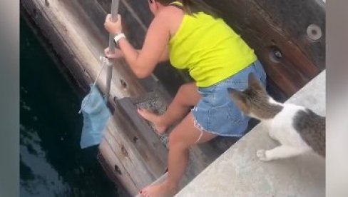 ПРЕСЛАТКО: Туристкиња спасила маче (ВИДЕО)