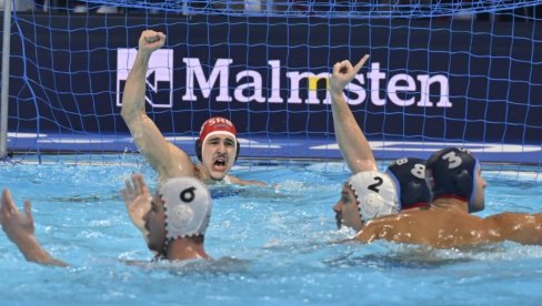 SRBIN SAV KRVAV! Sraman potez Mađara nakon što su pretukli delfine (FOTO)