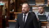 DA LI VAS JE SRAMOTA ZBOG PICULINIH ZAHTEVA?: Mirković digao buru u Skupštini - obratio se opoziciji (VIDEO)