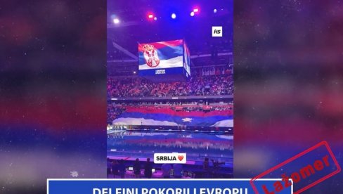 DELFINI POKORILI EVROPU (VIDEO)