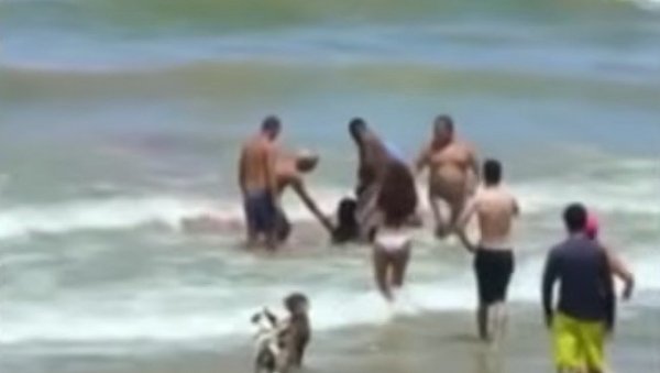 ЉУДИ ХИТНО УЛЕТЕЛИ У КРВАВУ ВОДУ ДА ИЗВУКУ ДЕЧАКА: Хорор сцена на популарној плажи - Још један бруталан напад морске немани (ВИДЕО)
