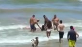 LJUDI HITNO ULETELI U KRVAVU VODU DA IZVUKU DEČAKA: Horor scena na popularnoj plaži - Još jedan brutalan napad morske nemani (VIDEO)