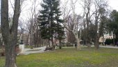 POŽAREVLJANI IZABRALI IZVOĐAČE ZA OBNOVU ZELENE OAZE U CENTRU GRADA   Oživljavaju park i duh Francuske