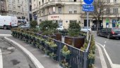 DEKORACIJI NIJE MESTO NASRED PUTA:  Žardinjere kod Zelenog venca smanjuju preglednost u saobraćaju