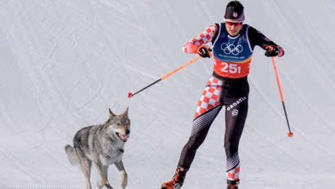 NAZGUL, OTKUD TI? Otkriveni najnoviji detalji o vuku koji je preplašio Hrvaticu na Olimpijskim igrama