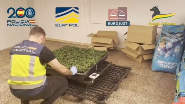 КРИЛИ МАРИХУАНУ У ВРЕЋАМА СТОЧНЕ ХРАНЕ: У акцији шпанске и италијанске полиције заплењени наркотици, оружје, 40.000 евра