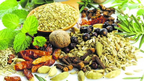 ЗДРАВЉЕ У ТАЊИРУ: Овас обара лош холестерол