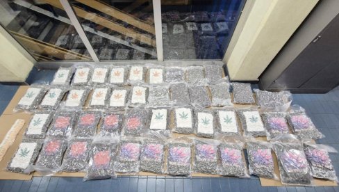 У КАМИОНУ 50 КИЛОГРАМА МАРИХУАНЕ! Велико хапшење у Новом Саду