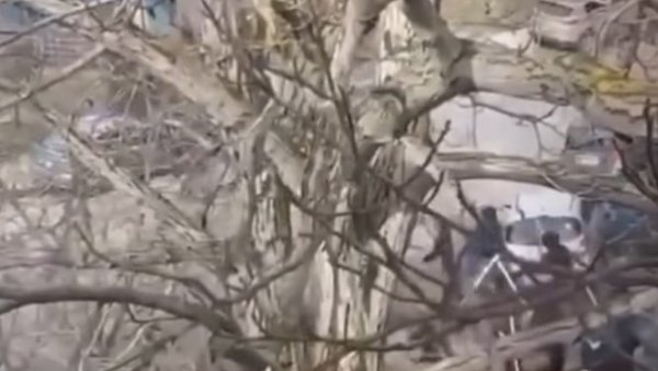 НОВИ СНИМАК ЈЕЗИВЕ ТУЧЕ НАВИЈАЧА ПРЕД ВЕЧИТИ ДЕРБИ! Делије и гробари у страшном сукобу палицама (ВИДЕО)