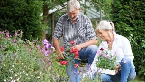 САВЕТ ПРОФЕСИОНАЛНИХ БАШТОВАНА: Ево шта треба да поспете по дворишту у првој недељи пролећа - у питању је намирница коју већ имате у кухин