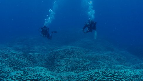 NAJVEĆI NA SVETU! Fascinantno otkriće na dnu mora (FOTO)