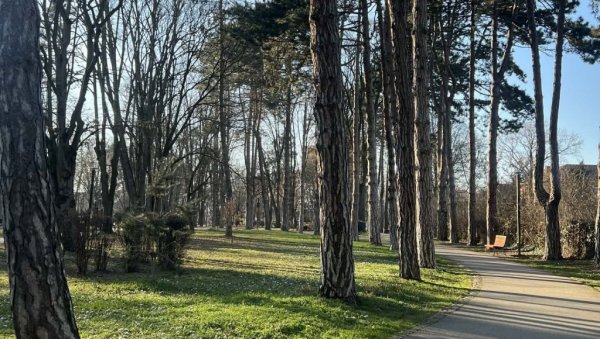 ПАРКОВИМА ИМЕНА МИЛИЦЕ РАКИЋ И СОЊЕ САВИЋ: Два градска парка у Чачку, уз сагласност министарства, добиће нове називе