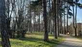 ПАРКОВИМА ИМЕНА МИЛИЦЕ РАКИЋ И СОЊЕ САВИЋ: Два градска парка у Чачку, уз сагласност министарства, добиће нове називе