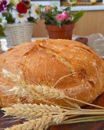 РЕЦЕПТ ЗА ДОМАЋУ ПОГАЧУ: Како до златне корице, а ваздушастог теста? (ВИДЕО)