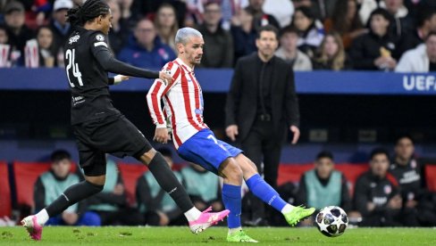 GRIZMAN OPLEO PO HRVATU: Žalosno je to što je uradio!