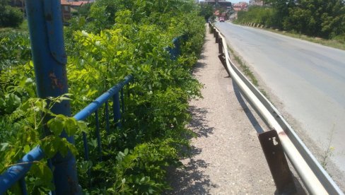 TRAŽE IZVOĐAČA: Za održavanje javnih površina u Požarevcu 10 miliona