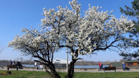 OVAJ DATUM JE KLJUČAN: Kakvo vreme nam donosi početak proleća