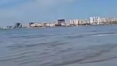 ЈЕЗИВ ПРИЗОР НА ОБАЛИ: Пролазници у песку пронашли тело мистериозног створа (ВИДЕО)