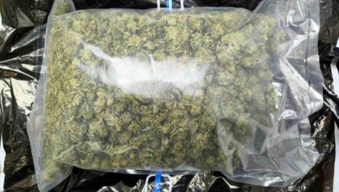 UHAPŠEN DILER U NOVOM BEOGRADU: Krio marihuanu u reno kliu