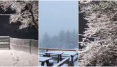 NEVEROVATNI PRIZORI: Sneg zabeleo u sred marta širom Srbije - Sve je počelo da cveta, kad ono... (VIDEO)
