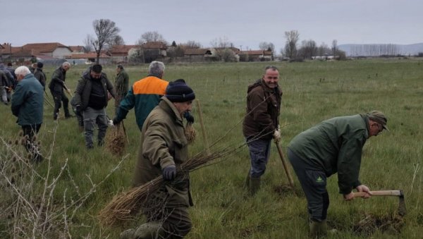 ХИЉАДЕ САДНИЦА БАГРЕМА: У Лесковцу обележен Међународни дан шума