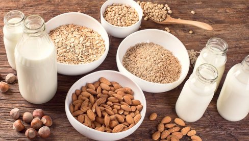 BILJNA MLEKA SU SVE POPULARNIJA: Evo koje ja najbolje prema dijetetičarima i na šta obavezno treba da obratite pažnju