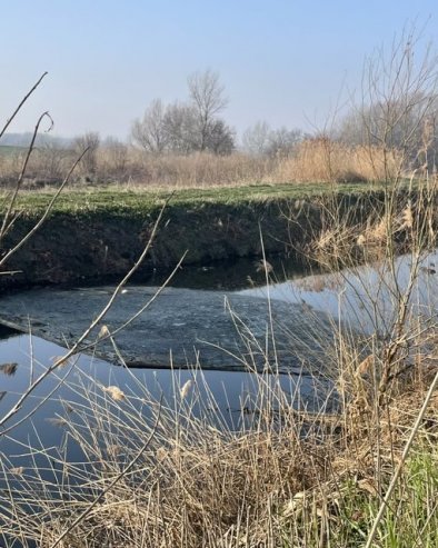 КО КРИЈЕ УЗРОКЕ ПОМОРА? Два месеца после угинућа птица и риба у Kрњачи, разлог непознат