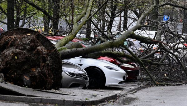 ЗАГРЕБ САБИРА ШТЕТУ ОД НЕВРЕМЕНА: Процењује се да је срушено до 3.000 стабала