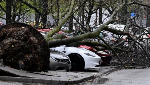 ЗАГРЕБ САБИРА ШТЕТУ ОД НЕВРЕМЕНА: Процењује се да је срушено до 3.000 стабала