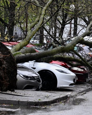 ЗАГРЕБ САБИРА ШТЕТУ ОД НЕВРЕМЕНА: Процењује се да је срушено до 3.000 стабала