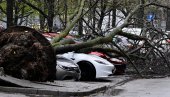 ЗАГРЕБ САБИРА ШТЕТУ ОД НЕВРЕМЕНА: Процењује се да је срушено до 3.000 стабала