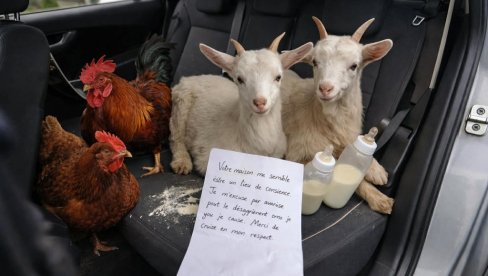 OVO NIJE PRVOAPRILSKA ŠALA! Francuz otvorio vrata auta i zatekao prizor koji ga je ostavio u šoku