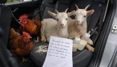 OVO NIJE PRVOAPRILSKA ŠALA! Otvorio vrata auta i zatekao prizor koji ga je ostavio u šoku – uz njih je stajalo i potresno pismo