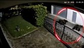 KATASTROFA: Medvedi upali u selo Mehurići, videli na kamerama ŠTA su uradili (VIDEO)