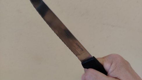 ГЛАВНИ СВЕДОЦИ ПОКУШАЈА УБИСТВА НЕЋЕ ДА СВЕДОЧЕ: Суђење за породични злочин у Заклопачи