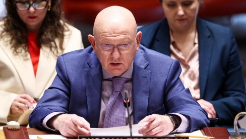 Nebenzja: Međunarodne organizacije prikrivaju zločine protiv ruskih novinara