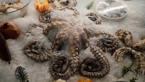 DA LI BISTE OVO PROBALI? Sladoledi od hobotnice, lignji i konjetine postaju stvarnost