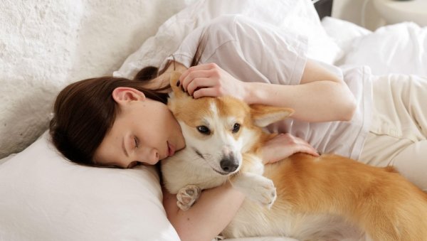 УВЕДЕНА ЈЕДИНСТВЕНА МЕРА: На боловање и када вам се разболи кућни љубимац