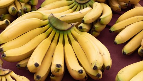 ВРЕДЕ СУВОГ ЗЛАТА: Сви бацамо коре од банане, а они их скупљају и зарађују милионе